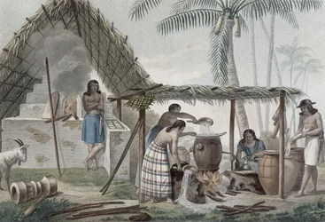 Pohled na lihovar na ostrově Guam, z 